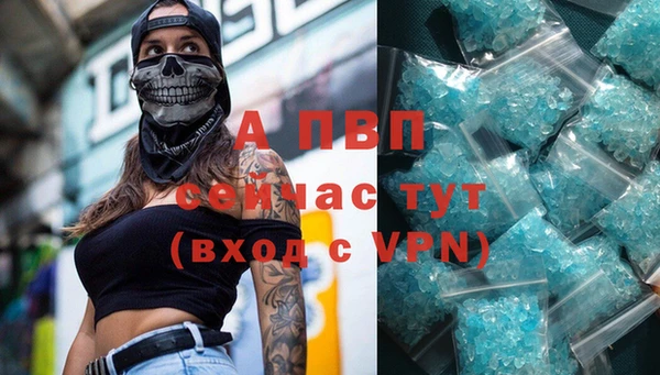 винт Алексин